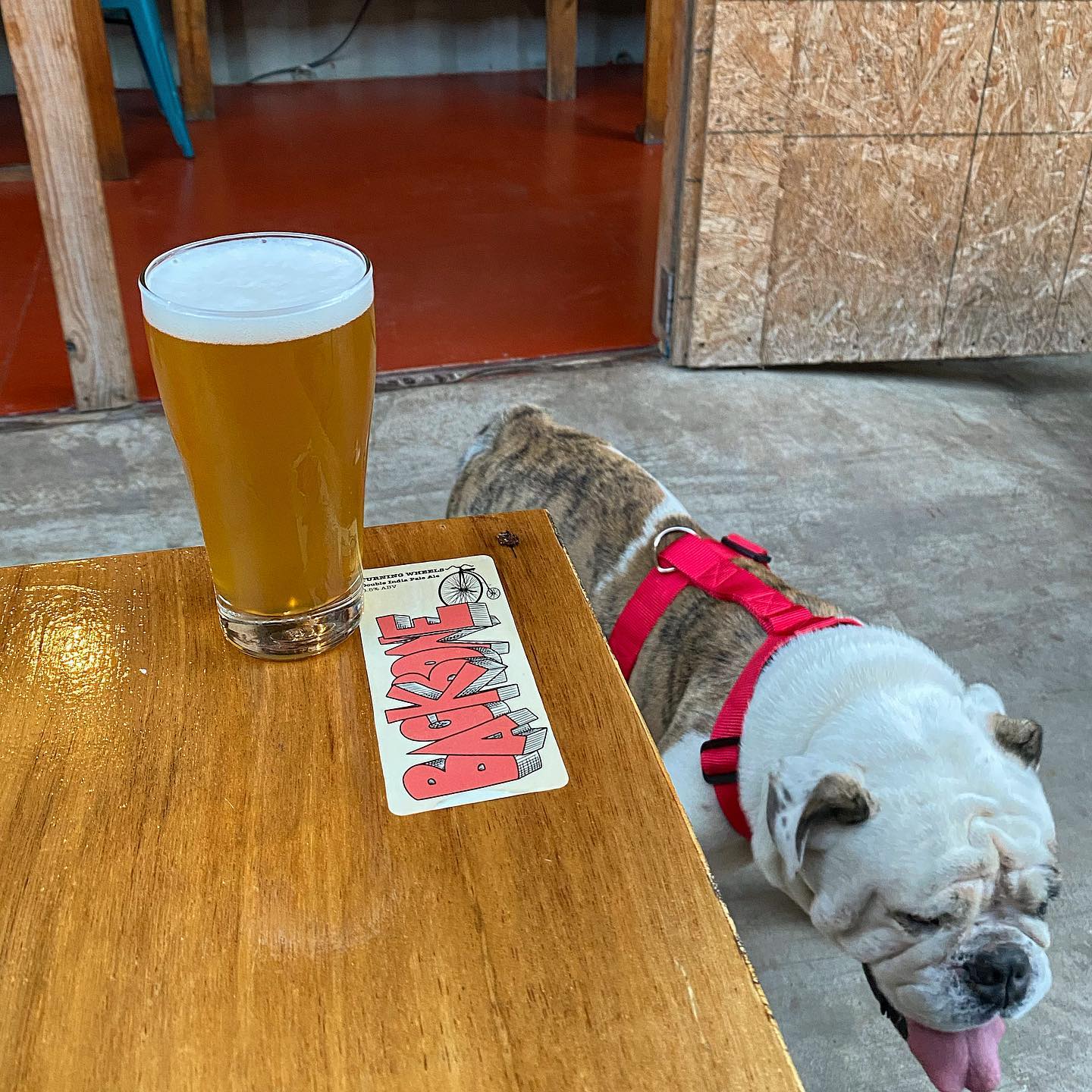 Backbone - Double IPA - Image 5